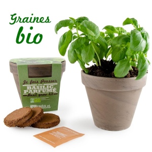 Pot terre cuite basalte 13cm - basilic grand vert bio