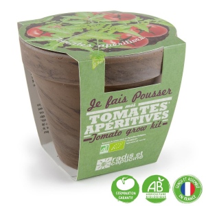 Pot terre cuite basalte 13cm - tomate cerise bio