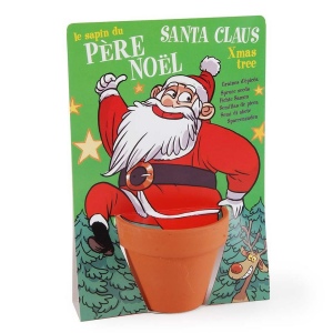 Carte nature père noël - pin
