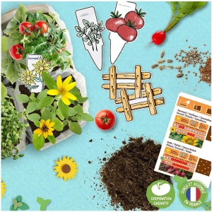 L'atelier mini potager bio