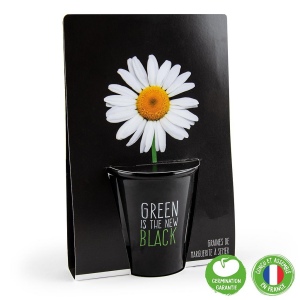 Pot black "green is the new black" - pâquerette