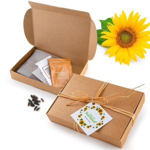 COFFRET JARDINAGE CARRÉ COCO