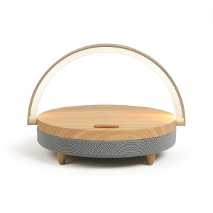 Enceinte LED chargeur induction rapide