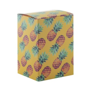 CreaBox PB-300 CreaBox PB-300 boîte sur mesure