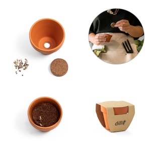 ANETHUM. Pot en terre cuite avec graines d'aneth