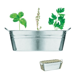 MIX SEEDS - Bac en zinc & herbes aromatique