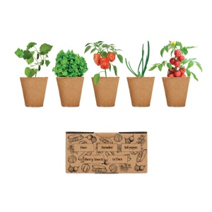 SALAD - Kit de culture de salade