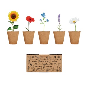 FLOWERS - Kit de culture de fleurs