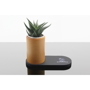 Chargeur 10W et plante dépolluante de bureau (Import)