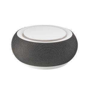 Haut-parleur sans fil avec chargeur sans fil 10 Watts REEVES-DOTHAN