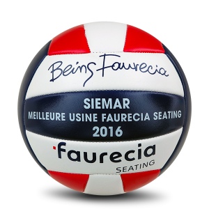 Ballon de volley-ball