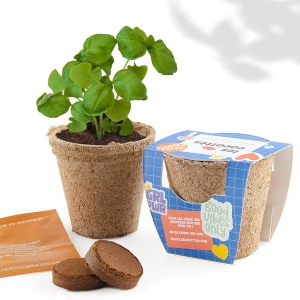 Mini kit plante à faire pousser - Pot en fibre de coco