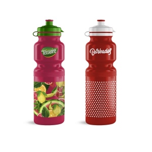 Bouteille 750 ml