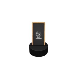 10W charger speaker 2x3W (Stock)