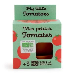 Kit terre cuite - tomate cerise bio