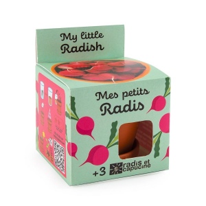 Kit terre cuite - radis bio