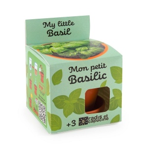 Kit terre cuite - basilic bio