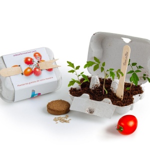 KIT BOITE ŒUFS AVEC GRAINES À SEMER