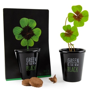 KIT BLACK AVEC GRAINES A FAIRE POUSSER