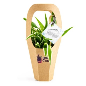 PLANTE GREEN BAG - Petit modèle