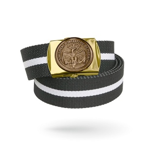 Boucle de ceinture doré brillant