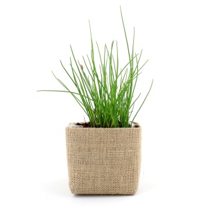 Kit pocket coco jute