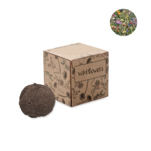 BOMBI - Boule graines de fleurs sauvages