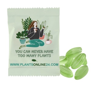 Gommes de fruits PERSONNALISÉES, 20 g, sachet conventionnel
