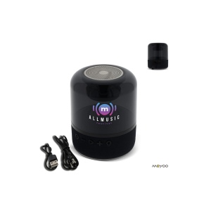 SP101 - Moyoo Smokey Dome speaker