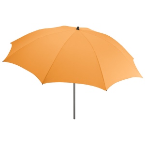 Parasol FARE