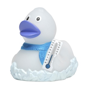 Canard