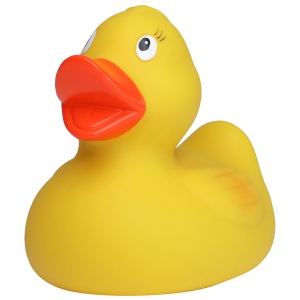 Canard uni