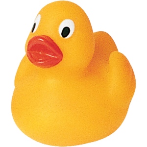 Canard uni