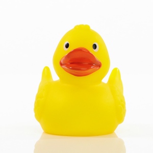 Canard uni