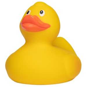 Canard de course