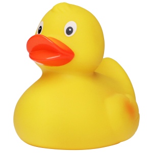 Canard de course