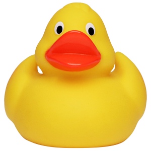 Canard de course