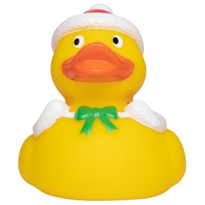Canard hiver
