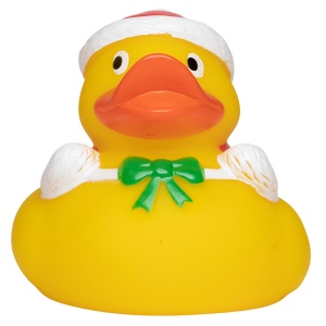 Canard hiver
