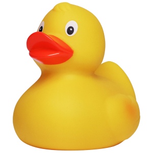 Canard uni