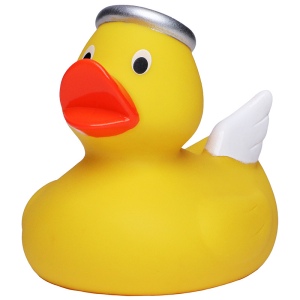 Canard hiver