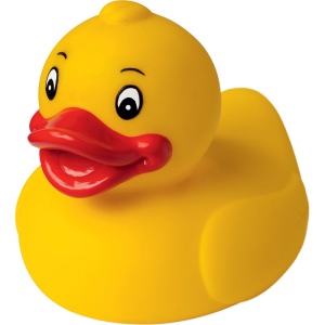 Canard uni