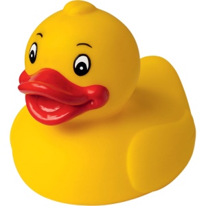 Canard uni