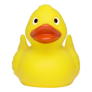 Canard de course