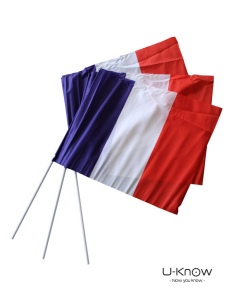 Drapeau de Supporter 44 x 30 cm