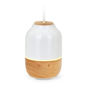 Diffuseur d'huiles essentielles