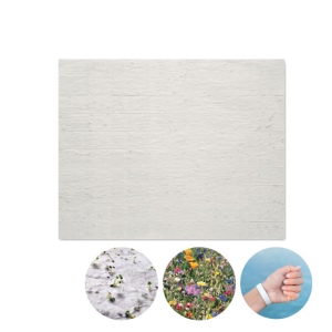 BANDSEE - Bracelet en papier graines