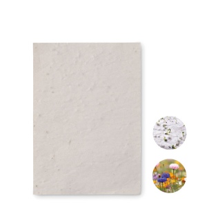 ASIDO - Papier A6 graines de fleurs