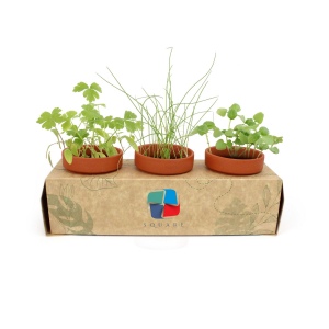 Présentoirs 3 pots TC