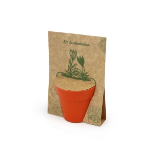 Carte pot bambou